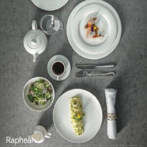 PREMIUM CERAMIC CROCKERY REACTIVE GLAZE RAPHEAL PATTREN (HOTEL USE)