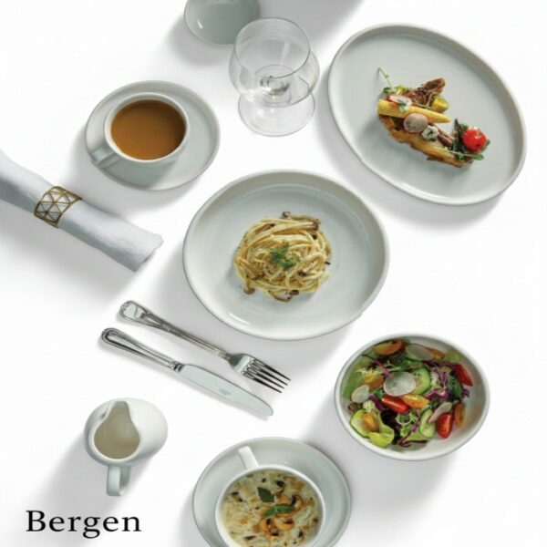 PREMIUM CERAMIC CROCKERY REACTIVE GLAZE BERGEN PATTREN (HOTEL USE) PREMIUM CERAMIC CROCKERY REACTIVE GLAZE BERGEN PATTREN (HOTEL USE)