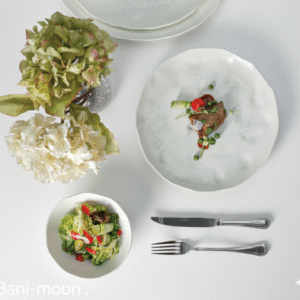PREMIUM CERAMIC CROCKERY REACTIVE GLAZE BANI-MOON PATTREN (HOTEL USE)