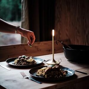 Cordless Table Lamp Set of 2 Gold for Bar and Dining