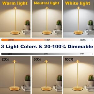 Cordless Table Lamp Set of 2 Gold for Bar and Dining
