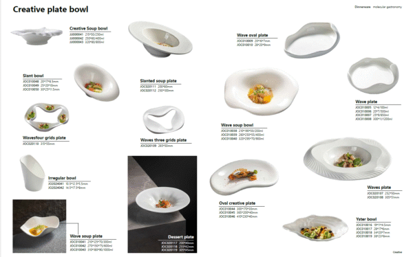 PREMIUM CERAMIC MOLECULAR CREATIVE PLATES PATTREN (HOTEL USE)