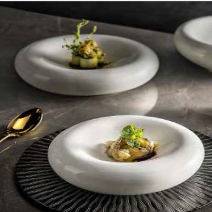 PREMIUM CERAMIC MOLECULAR IRREGULAR PATTREN (HOTEL USE)