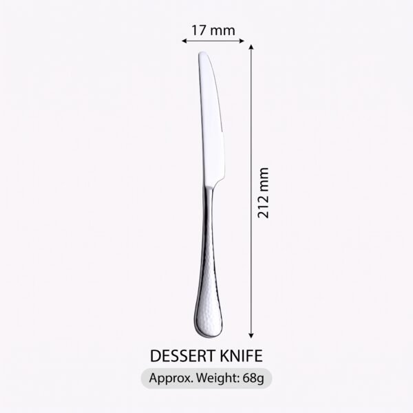 CALIFORNIA Stainless Steel Dessert Knife 21.2 CM CALIFORNIA Stainless Steel Dessert Knife 21.2 CM 420 SS